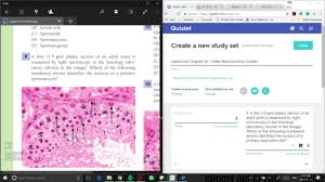 Cite causes of secondary dysmenorrhea. Lippincott Chapter 16 Male Reproductive System Flashcards Quizlet