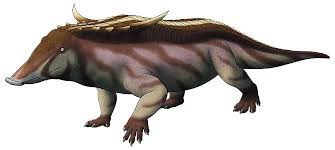 Find out information about aetosaur. Desmatosuchus Spurensis A 4 5m Long Aetosaur From The Late Triassic Of The Southern Us Naturewasmetal