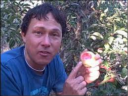 What makes heirloom fruit trees special? Home Orchard Grows Over 150 Varieties Of Heirloom Fruit Trees Including Tropical Fruits Youtube
