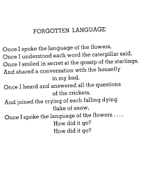 Forgotten Language Shel Silverstein Shel Silverstein Is One Of My Favorite Children S Poets May His Soul Live Silverstein Poems Shel Silverstein Poems Words