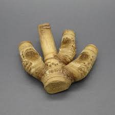 Menurut kang fappin bambu petuk yaitu bambu yang batang buku atau ruasnya saling berhadapan satu sama lain. Pring Bambu Petuk Patil Lele