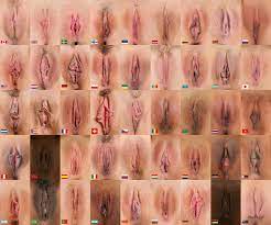 Самые красивые виды вагин (61 фото) - секс и порно HD phone wallpaper