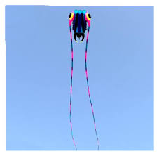 ISITAC Kites Trilobites kite flying for adults kites inflatable  professional kites octopus kite ikite jellyfish soft kites koi (Color :  7sqm BluePink) : Amazon.co.uk: Toys & Games