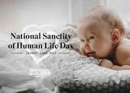 Congressman Pete Stauber