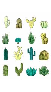 Also terrarium drawing christmas cactus available at png transparent variant. Tumblr Aesthetic Cactus Iphone Wallpaper