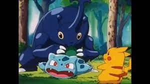 Heracross and bulbasaur