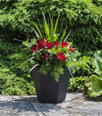 Stunning Container Gardening In 2020 Flower Pots Outdoor Patio Flowers Garden Containers