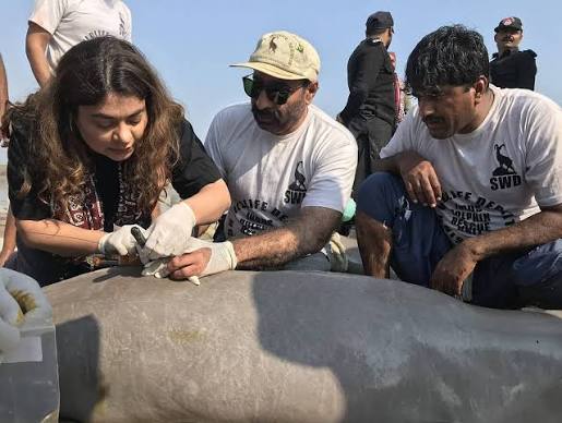  Indus River Dolphin Conservation Gets Bold 2026 Boost