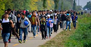 View your case history and upcoming case activities,. Migracion Y Salud El Reto Nacional En Epoca De Coronavirus Revista Pesquisa Javeriana