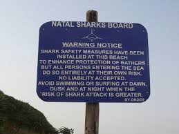 Either one of those particular things. Shark Attack Wikipedia