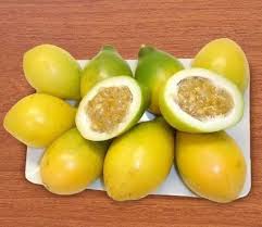 Muda De Maracuja Doce Feita De Semente Plantei Faça furos de 3 cm de diâmetro no cano de pvc com a ajuda de uma furadeira. muda de maracuja doce feita de semente