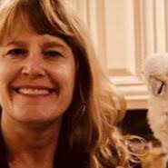 Veterinary Information Network®, Inc.