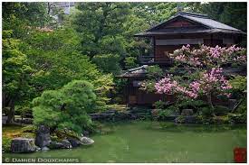 Pin Auf Japanese Gardens