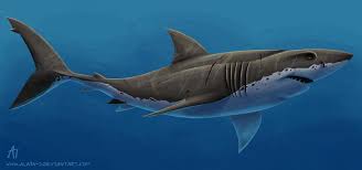 Great White Shark By Ala1n J On Deviantart In 2020 White Sharks Great White Shark Shark