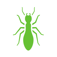 As des moines pest control experts, we can tackle any of your business's pest control needs. Pest Control Exterminators In Des Moines Miller Termite Pest