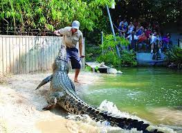 Watch full episodes, specials and documentaries with national geographic tv channel online. Australia Travel Blog Archive