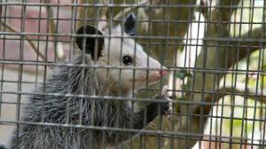 All seasons pest control has been a locally owned and operated business for over 30 years! All Seasons Pest Control Home Facebook