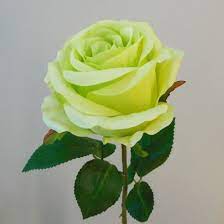 Search for more plants online? Artificial Rose Carnival Lime Green Flowers Artificial Flowers
