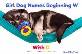 We like these female dog names that start with k: Girl Dog Names Beginning With D