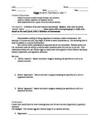 This lab explores the transport of water across the chorionic membrane of an egg by osmosis. Egg Osmosis Lab Pdf Diffusion And Osmosis Practice Worksheet Doc Name Date Draw Four Figures In The Results Section Of Your Lab Notebook That Display The Movement Of Water