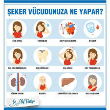 4 093 Begenme 172 Yorum Instagram Da Dr Elif Pahsa Drelifpahsa Bir Zamanlar Insanlarin Seker Tuke Instagram Meyve Saglikli Olmak