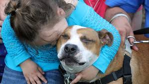 Our goal at a loving choice adoption associates is to provide guidance and. Lost Dog Family Reunited 18 Months After Sandy