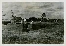 Search the Collection