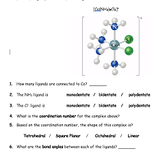 Information and translations of bidentate in the most comprehensive dictionary definitions resource on the web. Co Nh3 4cl2 1 How Many Ligands Are Connected To Chegg Com