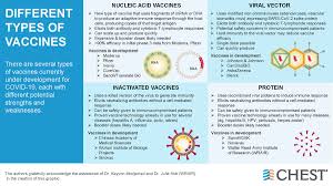 There are four categories of vaccines in clinical trials: Chest On Twitter There Are Several Types Of Vaccines Currently Under Development For Covid19 Each With Different Potential Strengths And Weaknesses Understand Each Vaccine S Mechanisms Of Action Pros And Cons And Which