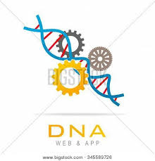 We have 772 free 3m car care vector logos, logo templates and icons. Dna Work Icon Logo Vector Photo Free Trial Bigstock