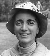 The Vineyard Gazette