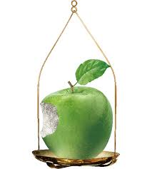 Mewe's light approach to content moderation has made it popular. å¯Œé‚¦ç‰¹é¸å¤§è˜‹æžœå ±é…¬æŒ‡æ•¸å–®æ—¥æ­£å'å…©å€ åå'ä¸€å€æŒ‡æ•¸æŠ•è³‡è­‰åˆ¸etn