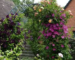 Rosenbogen Bepflanzen Und Prachvollen Hingucker Im Garten Gestalten Dekorationen Ideen Rosenbogen Garten Gestalten Gartenkunst