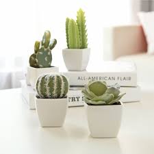 Check spelling or type a new query. How To Pick The Best Fake Plants A Faux Plant Buying Guide 2021 Apartment Therapy