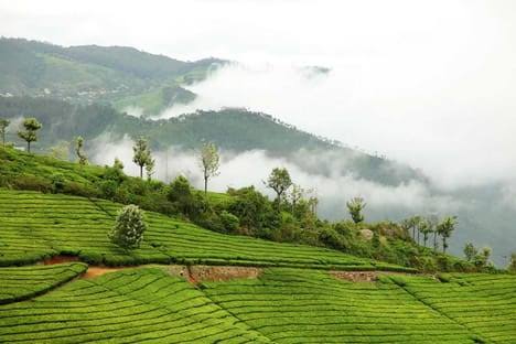 Coonoor Scenic Journey