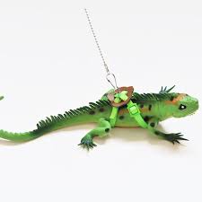 This room has been ransacked, and not hing of va lue is her e. Top 9 Most Popular Hewan Iguana List And Get Free Shipping 9e4ahajj