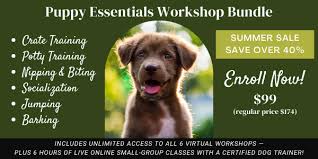It's also known as a puppy enrichment box. 1nwcg75npaloem