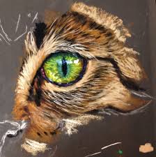 Framed white cat chalk pastel drawing on velvet paper signed viger (1968) $150.00. Cath Ingles Explains All Whilst Tackling Tough Cat Eyes Now Available Arttutor As Part Of Our Pastels Animal Module Oil Pastel Art Animal Art Pastel Art