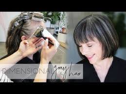 36 How To Add Dimension Back Into Natural Gray Hair Color Transition To Gray Hair Naturally Natural Gray Hair Transition To Gray Hair Gray Hair Highlights