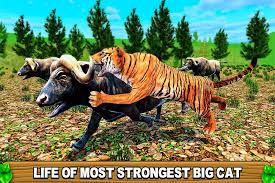 Mar 15, 2016 · the description of siberian tiger simulator app live life as real wild tiger and survive in the wildness as long as you can. Indian Tiger Simulator Quest For Android Apk Download