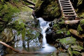 Muir Woods National Monument Muir Woods National Monument National Monuments Muir Woods