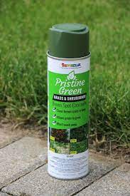 Painting Plants Sincerely Sara D Home Decor Diy Projects Grass Painting Green Spray Paint Landscape Spray Painting