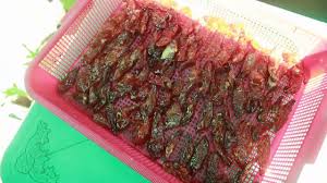 Rasanya asem, makanya sayur asem juga namanya. Cara Membuat Manisan Belimbing Wuluh Asem Manis Segar Manis Cemilan Camilan
