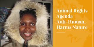 animal rights Archives