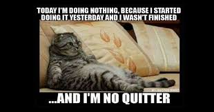 Check spelling or type a new query. Funny Happy Weekend Memes Quotes With Funny Weekend Images