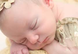 Annalee Rose Photography