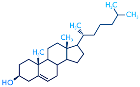Image result for Lipid