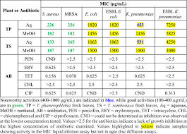 Image result for Terminalia sambesiaca