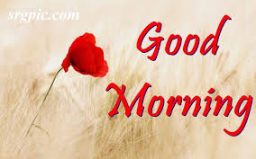 Check spelling or type a new query. Special Good Morning Wishes New Images 21 Srgpic
