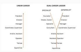 Corporate finance career path #1: The Impact Of A Dual Career Path To Employees Careers A Case Of Bank Of Tanzania Semantic Scholar